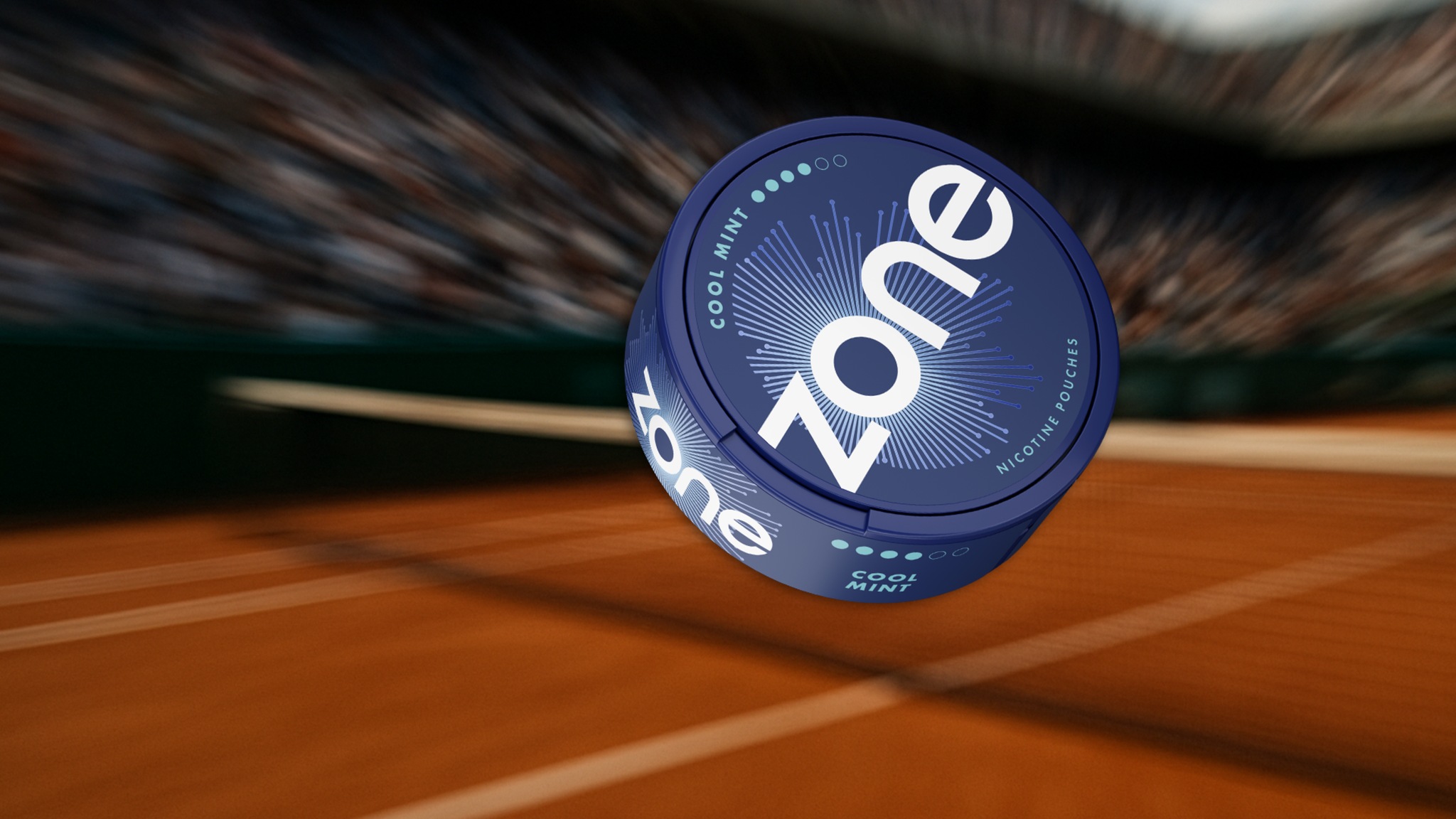 What are ZONE Nicotine Pouches? 