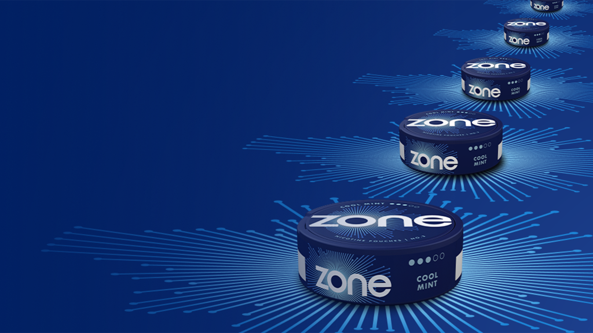 What are ZONE Nicotine Pouches? 